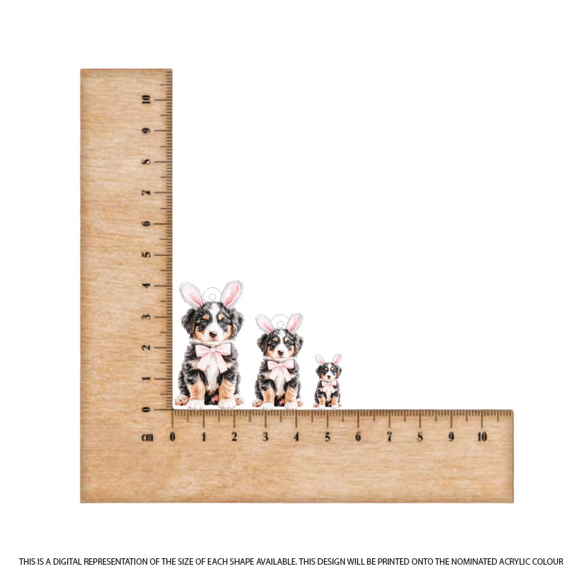 Easter Puppy Australian Shepherd printed on White Acrylic