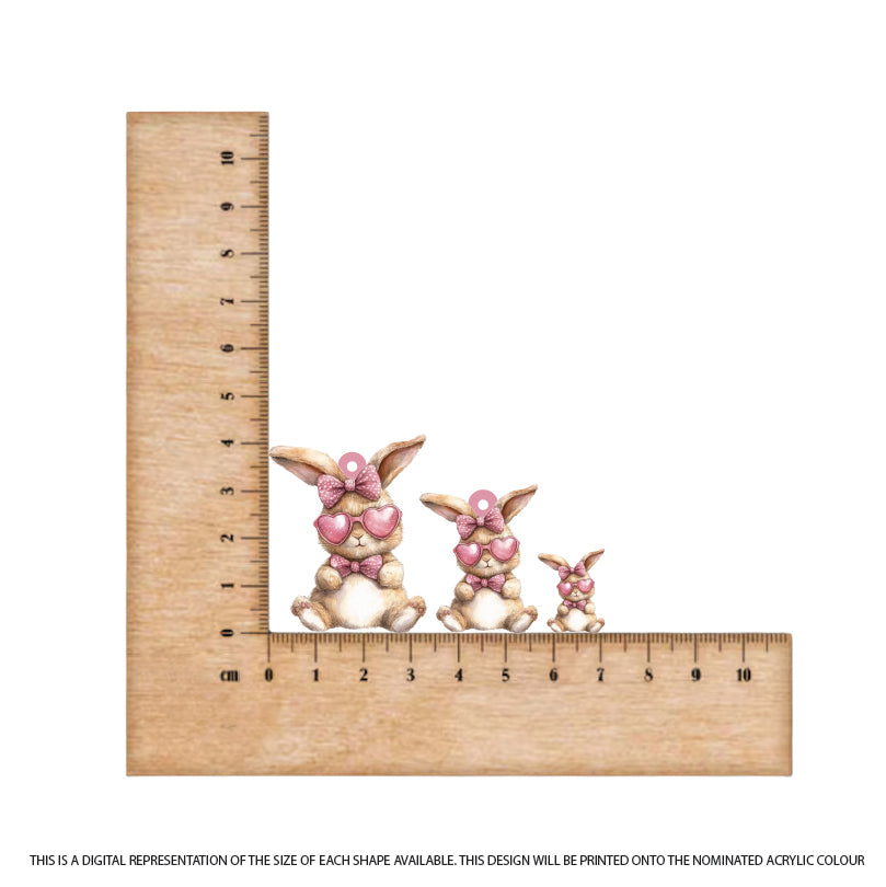 Easter Bunny 12 printed on Rose Acrylic