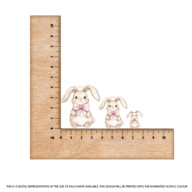 Easter Bunny 9 printed on Light Pink Acrylic