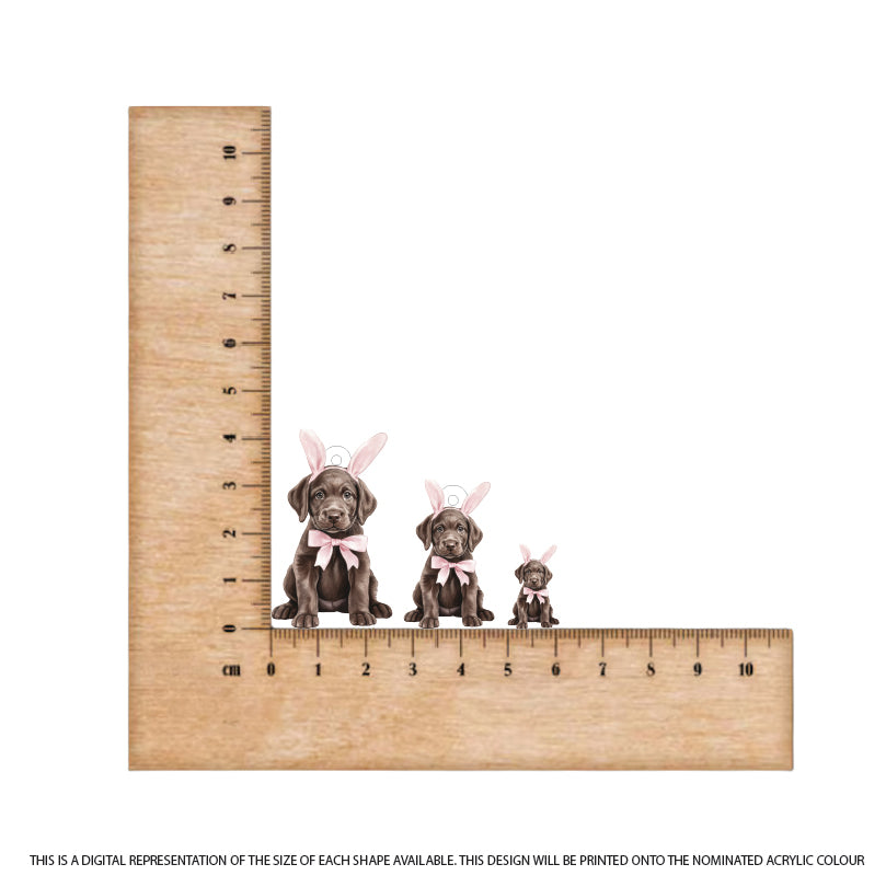 Easter Puppy Labrador printed on White Acrylic