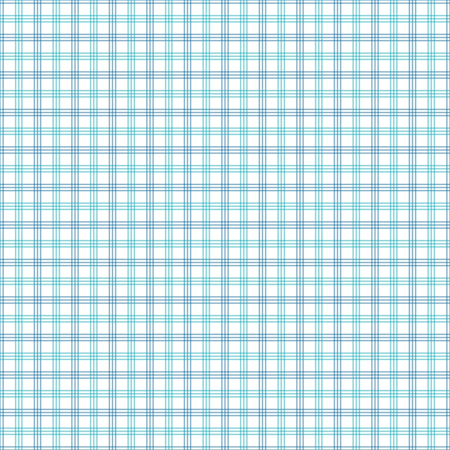 Gingham - 19