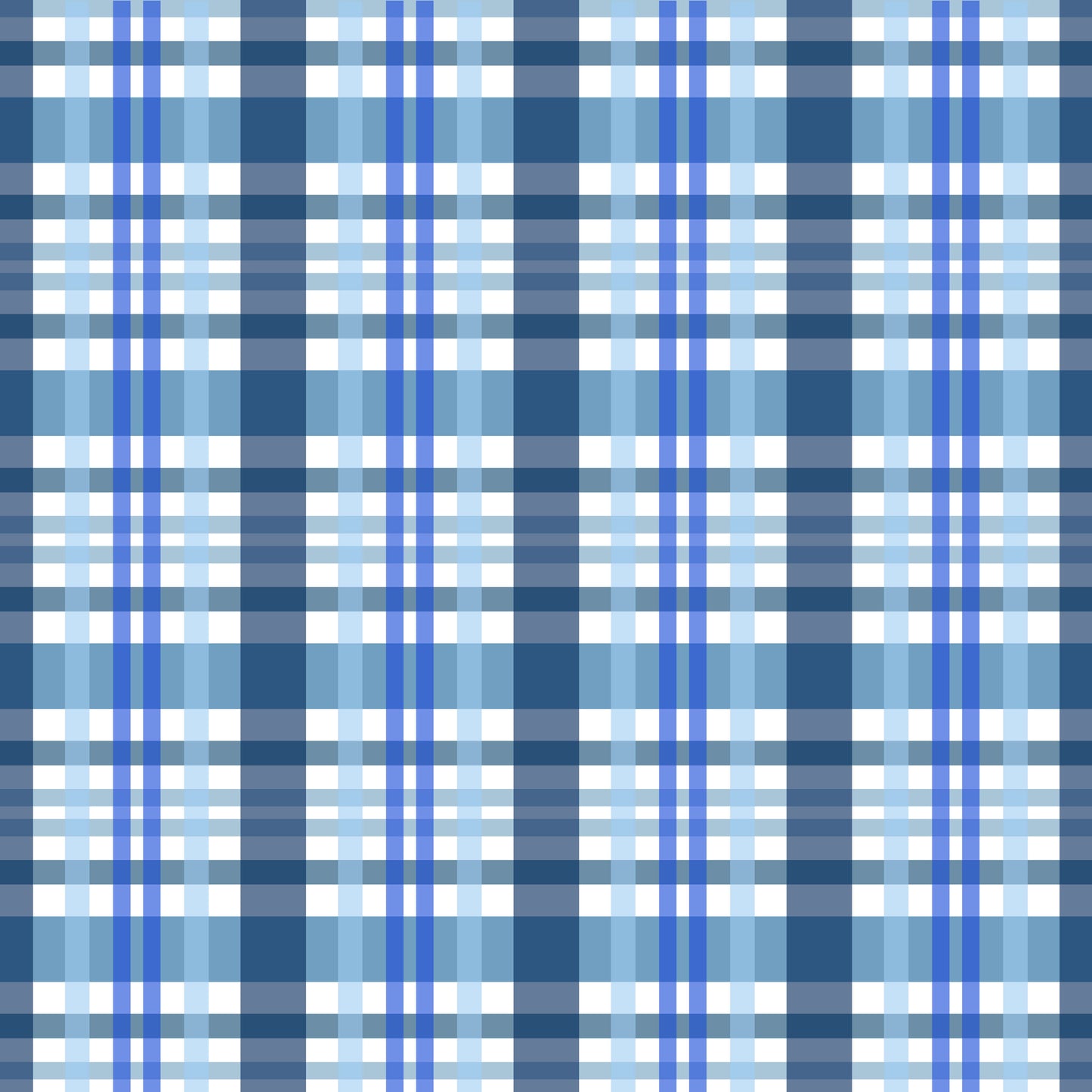 Gingham - 24