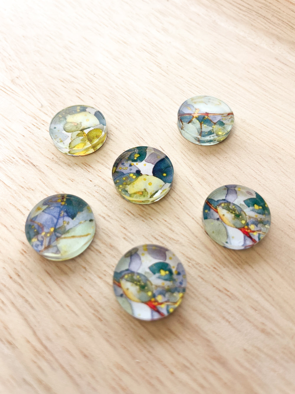 1.5cm Circle - Studs- Clear Acrylic - Australian Native - 18