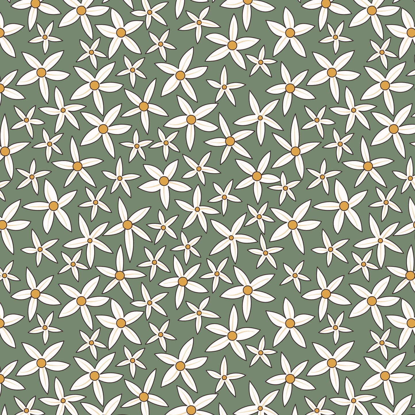 Clear Acrylic - 2cm Circle - 1 Hole - Australiana - 32