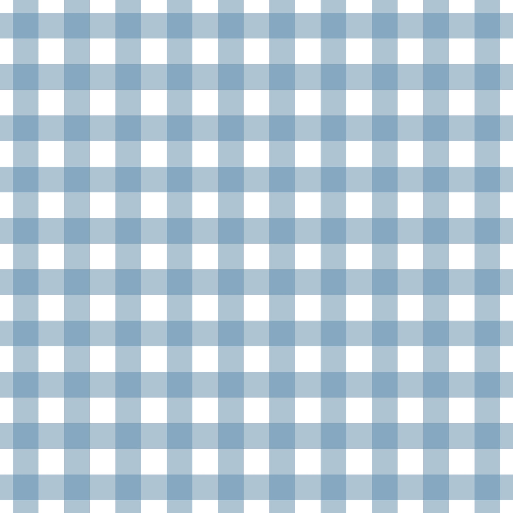 Pattern for printing on leather, acrylic, wood or cork for earring blanks or earring supplies in pattern style - Pattern -  Basic Gingham - 06
