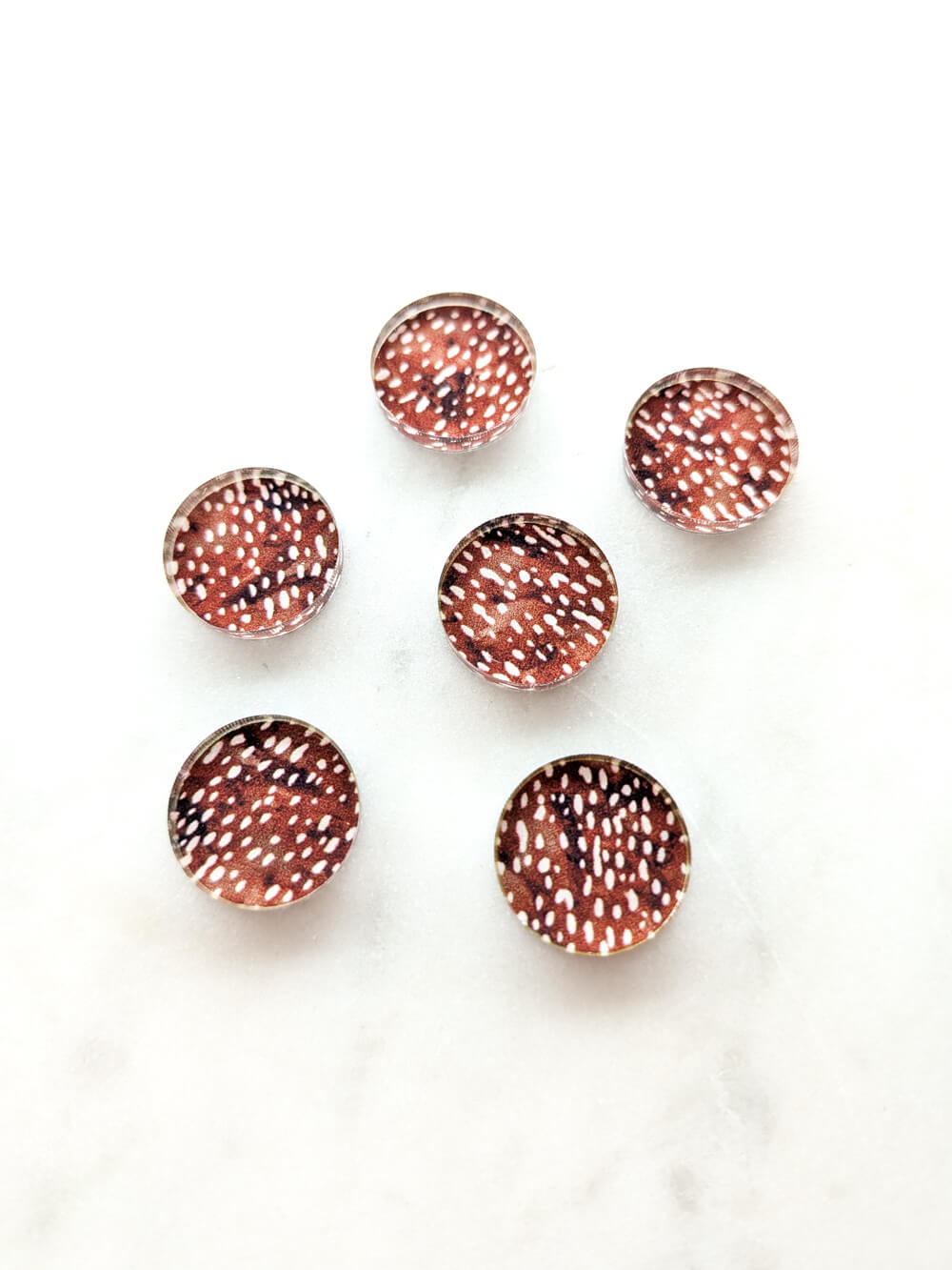 1.5cm Circle - Studs- Clear Acrylic - Safari - 05