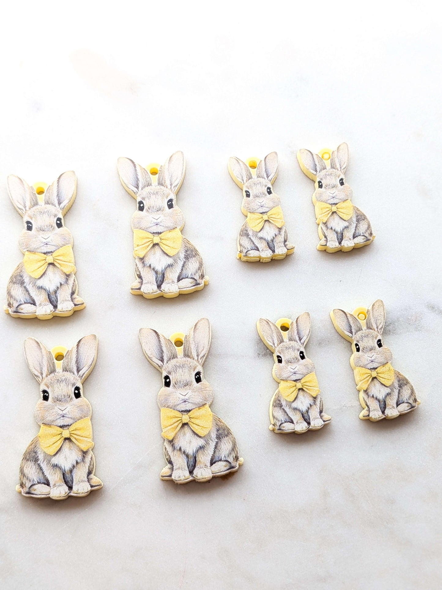 Easter Bunny 14 printed on Lemon Acrylic