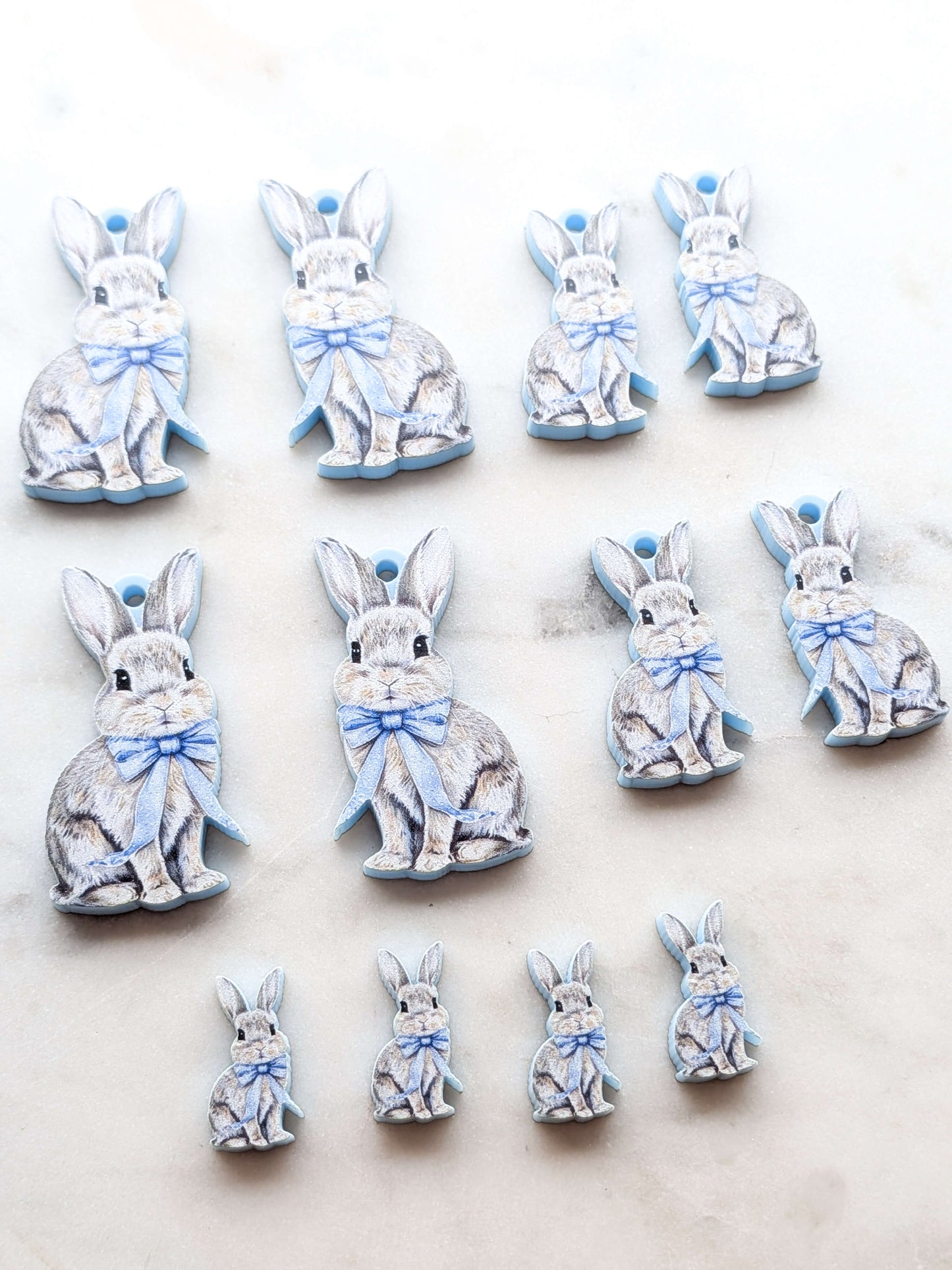 Easter Bunny 10 printed on Pastel Blue Acrylic