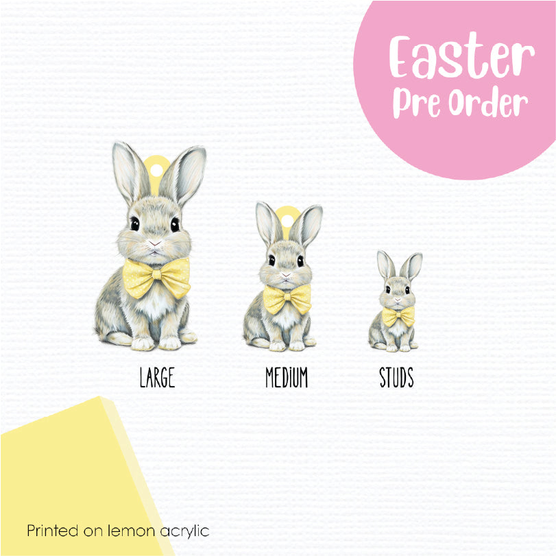 Easter Bunny 14 printed on Lemon Acrylic