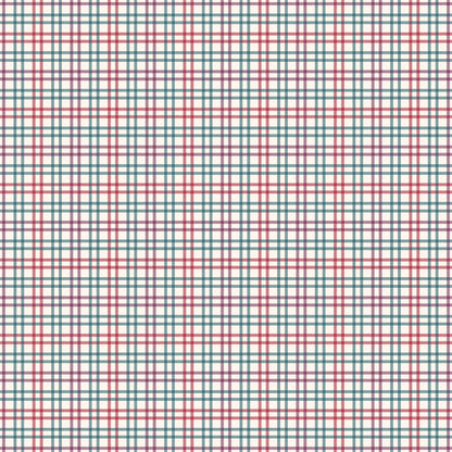 Gingham - 13