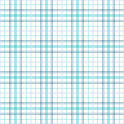 Gingham - 19