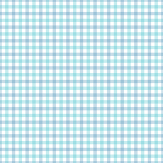Gingham - 19