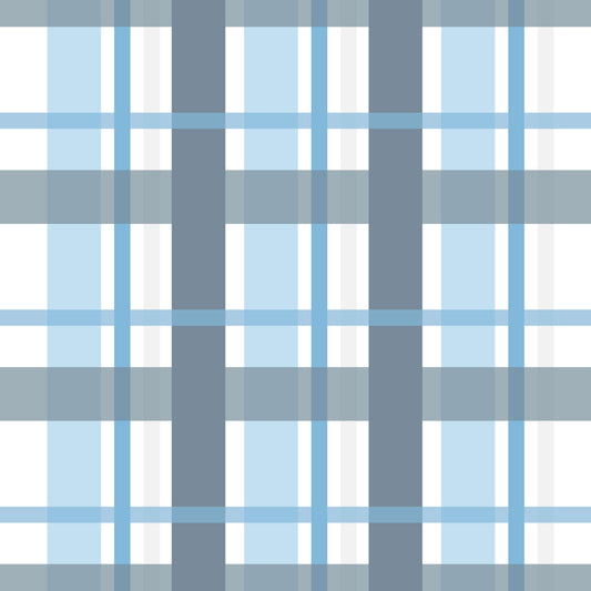 Gingham - 22