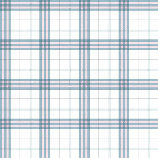 Gingham - 41