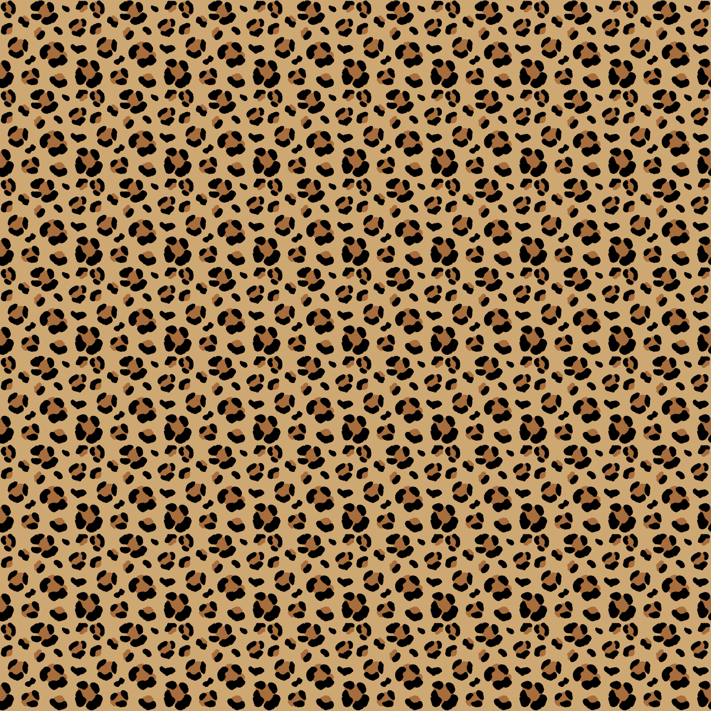 Leopard - 62